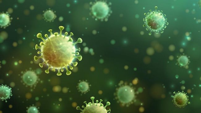 Virus Mematikan Merebak di Nigeria, 163 Orang Meninggal Dunia